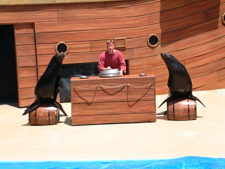 seaworld5-2-03-_021.jpg