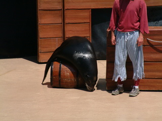 seaworld5-2-03-_026.jpg