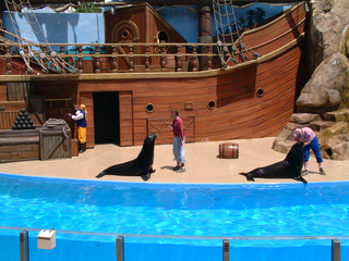 seaworld5-2-03-_028.jpg