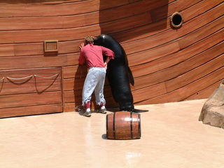 seaworld5-2-03-_032.jpg