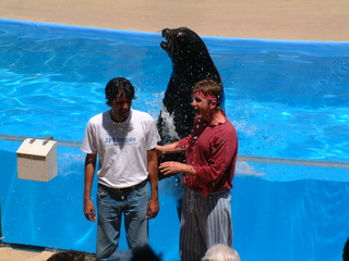 seaworld5-2-03-_039.jpg