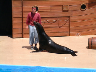 seaworld5-2-03-_042.jpg