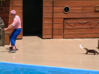 seaworld5-2-03-_050.jpg