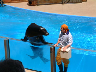 seaworld5-2-03-_053.jpg