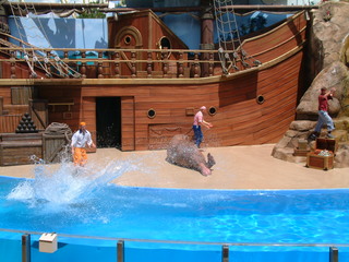 seaworld5-2-03-_063.jpg