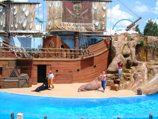 seaworld5-2-03-_064.jpg