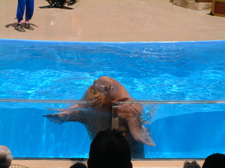 seaworld5-2-03-_065.jpg