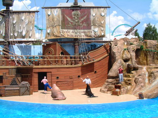seaworld5-2-03-_070.jpg