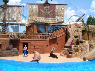 seaworld5-2-03-_071.jpg