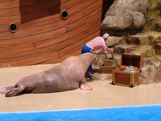 seaworld5-2-03-_073.jpg