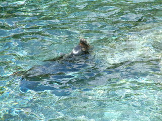 seaworld5-2-03-_074.jpg
