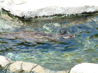 seaworld5-2-03-_075.jpg
