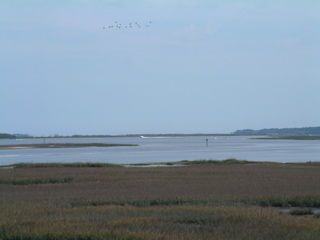 Filename=staugust303_001.jpg
Filesize=1181KiB
Dimensions=2048x1536
Date added=Sep 28, 2019 staugust303_001.jpg