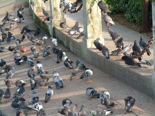 Filename=staugust303_050.jpg
Filesize=1239KiB
Dimensions=2048x1536
Date added=Sep 28, 2019 staugust303_050.jpg