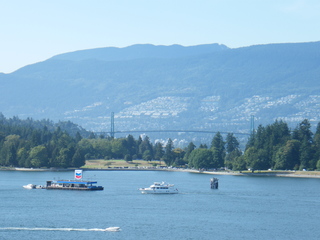 Filename=DSCF7048.JPG
Filesize=3043KiB
Dimensions=3264x2448
Date added=Sep 15, 2019 DSCF7048.JPG