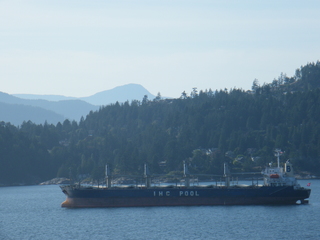 Filename=DSCF7085.JPG
Filesize=3212KiB
Dimensions=3264x2448
Date added=Sep 15, 2019 DSCF7085.JPG