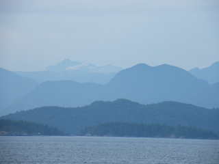 Filename=DSCF7104.JPG
Filesize=629KiB
Dimensions=3264x2448
Date added=Sep 15, 2019 DSCF7104.JPG