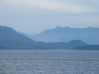 Filename=DSCF7111.JPG
Filesize=3509KiB
Dimensions=3264x2448
Date added=Sep 15, 2019 DSCF7111.JPG