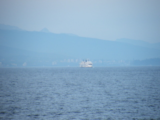 Filename=DSCF7122.JPG
Filesize=3645KiB
Dimensions=3264x2448
Date added=Sep 15, 2019 DSCF7122.JPG