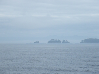 Filename=DSCF7125.JPG
Filesize=3185KiB
Dimensions=3264x2448
Date added=Sep 15, 2019 DSCF7125.JPG