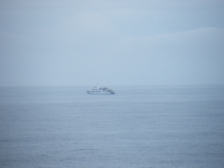 Filename=DSCF7126.JPG
Filesize=3444KiB
Dimensions=3264x2448
Date added=Sep 15, 2019 DSCF7126.JPG