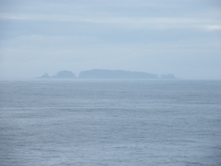 Filename=DSCF7128.JPG
Filesize=3092KiB
Dimensions=3264x2448
Date added=Sep 15, 2019 DSCF7128.JPG