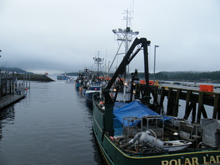 Filename=DSCF7167.JPG
Filesize=2868KiB
Dimensions=3264x2448
Date added=Sep 15, 2019 DSCF7167.JPG