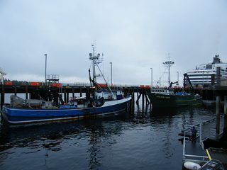 Filename=DSCF7174.JPG
Filesize=2828KiB
Dimensions=3264x2448
Date added=Sep 15, 2019 DSCF7174.JPG