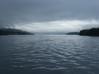 Filename=DSCF7187.JPG
Filesize=3697KiB
Dimensions=3264x2448
Date added=Sep 15, 2019 DSCF7187.JPG