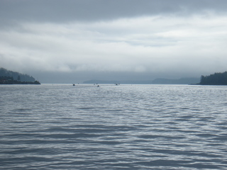 Filename=DSCF7190.JPG
Filesize=3127KiB
Dimensions=3264x2448
Date added=Sep 15, 2019 DSCF7190.JPG