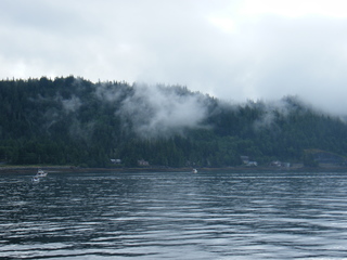 Filename=DSCF7195.JPG
Filesize=2751KiB
Dimensions=3264x2448
Date added=Sep 15, 2019 DSCF7195.JPG