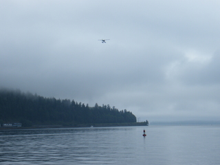 Filename=DSCF7196.JPG
Filesize=2948KiB
Dimensions=3264x2448
Date added=Sep 15, 2019 DSCF7196.JPG