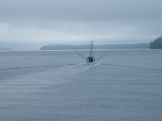 Filename=DSCF7199.JPG
Filesize=3111KiB
Dimensions=3264x2448
Date added=Sep 15, 2019 DSCF7199.JPG