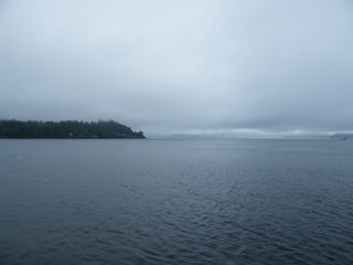 Filename=DSCF7204.JPG
Filesize=3145KiB
Dimensions=3264x2448
Date added=Sep 15, 2019 DSCF7204.JPG