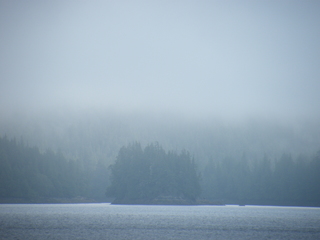 Filename=DSCF7208.JPG
Filesize=2992KiB
Dimensions=3264x2448
Date added=Sep 15, 2019 DSCF7208.JPG