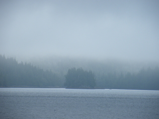 Filename=DSCF7209.JPG
Filesize=3501KiB
Dimensions=3264x2448
Date added=Sep 15, 2019 DSCF7209.JPG