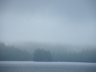 Filename=DSCF7210.JPG
Filesize=2988KiB
Dimensions=3264x2448
Date added=Sep 15, 2019 DSCF7210.JPG