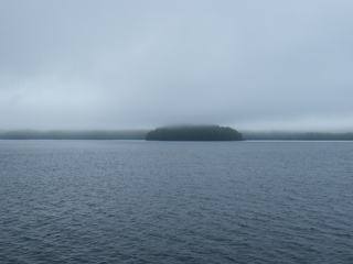 Filename=DSCF7211.JPG
Filesize=3550KiB
Dimensions=3264x2448
Date added=Sep 15, 2019 DSCF7211.JPG