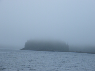 Filename=DSCF7213.JPG
Filesize=2999KiB
Dimensions=3264x2448
Date added=Sep 15, 2019 DSCF7213.JPG