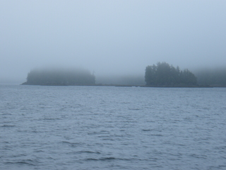 Filename=DSCF7214.JPG
Filesize=3131KiB
Dimensions=3264x2448
Date added=Sep 15, 2019 DSCF7214.JPG