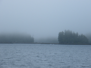 Filename=DSCF7215.JPG
Filesize=3109KiB
Dimensions=3264x2448
Date added=Sep 15, 2019 DSCF7215.JPG