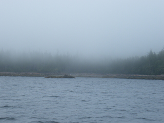 Filename=DSCF7216.JPG
Filesize=2988KiB
Dimensions=3264x2448
Date added=Sep 15, 2019 DSCF7216.JPG