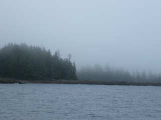 Filename=DSCF7218.JPG
Filesize=3214KiB
Dimensions=3264x2448
Date added=Sep 15, 2019 DSCF7218.JPG