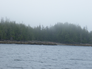 Filename=DSCF7219.JPG
Filesize=3264KiB
Dimensions=3264x2448
Date added=Sep 15, 2019 DSCF7219.JPG