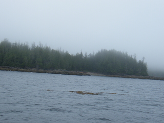 Filename=DSCF7220.JPG
Filesize=3413KiB
Dimensions=3264x2448
Date added=Sep 15, 2019 DSCF7220.JPG