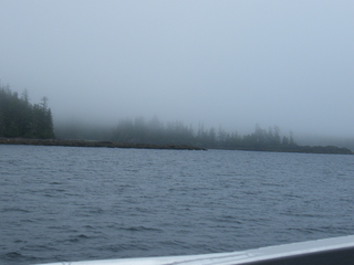 Filename=DSCF7221.JPG
Filesize=3385KiB
Dimensions=3264x2448
Date added=Sep 15, 2019 DSCF7221.JPG