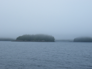 Filename=DSCF7224.JPG
Filesize=3080KiB
Dimensions=3264x2448
Date added=Sep 15, 2019 DSCF7224.JPG