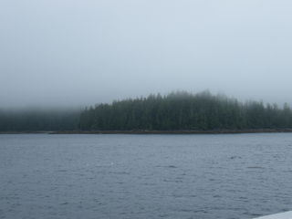 Filename=DSCF7226.JPG
Filesize=3232KiB
Dimensions=3264x2448
Date added=Sep 15, 2019 DSCF7226.JPG