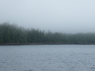 Filename=DSCF7227.JPG
Filesize=3375KiB
Dimensions=3264x2448
Date added=Sep 15, 2019 DSCF7227.JPG