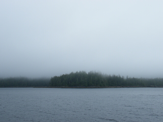 Filename=DSCF7228.JPG
Filesize=2908KiB
Dimensions=3264x2448
Date added=Sep 15, 2019 DSCF7228.JPG